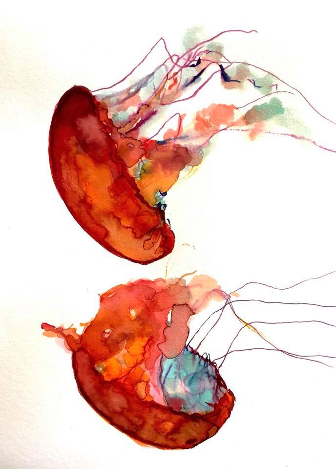 jellyfish watercolour