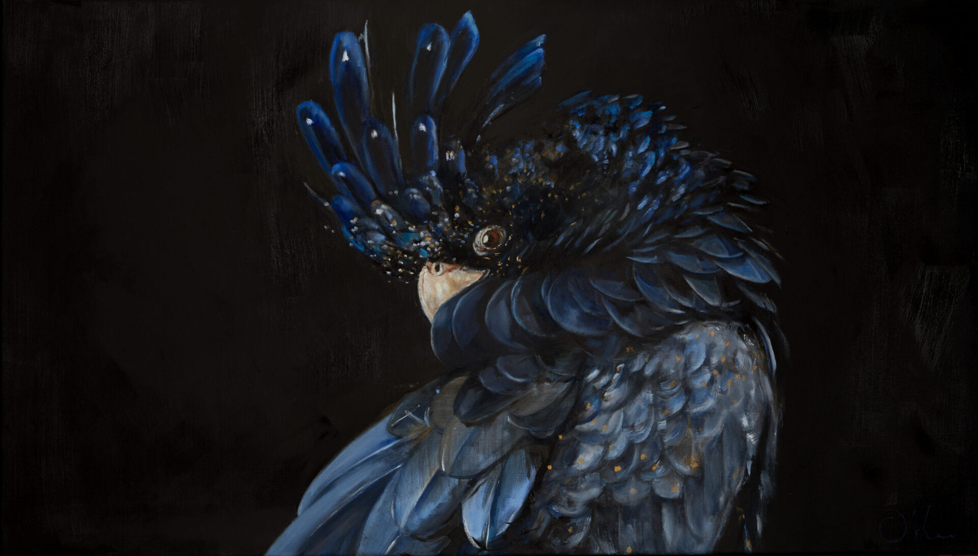 "Bluey" - a black cockatoo from my series of animal paintings.